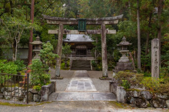 近江・甲良・山王大宮神社(滋賀県:2025年12月)