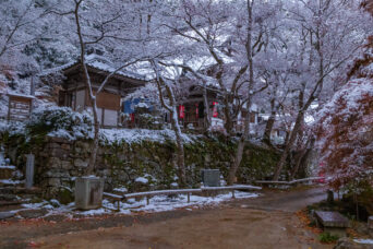 近江・八日市・瓦屋禅寺(滋賀県:2025年12月)
