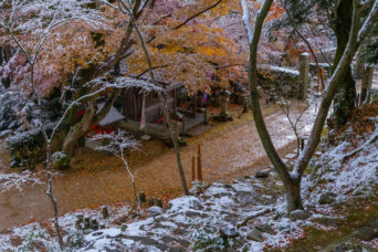 近江・八日市・瓦屋禅寺(滋賀県:2025年12月)