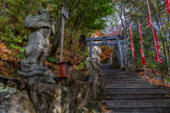 近江・八日市・太郎坊宮阿賀神社(滋賀県:2025年12月)