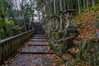 近江・八日市・太郎坊宮阿賀神社(滋賀県:2025年12月)