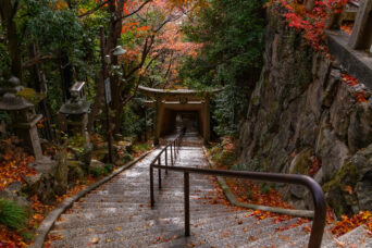 近江・八日市・太郎坊宮阿賀神社(滋賀県:2025年12月)