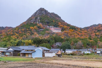 近江・八日市・太郎坊宮阿賀神社(滋賀県:2025年12月)