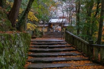 近江・東近江・永源寺(滋賀県:2025年12月)