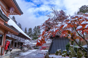 近江・東近江・永源寺(滋賀県:2025年12月)