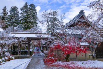 近江・東近江・永源寺(滋賀県:2025年12月)