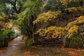 近江・東近江・永源寺(滋賀県:2025年12月)