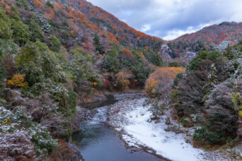 近江・東近江・永源寺付近(滋賀県:2025年12月)