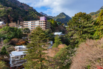 北勢・湯の山温泉(三重県:2025年12月)