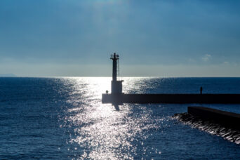 北勢・鈴鹿・若松漁港(三重県:2025年12月)