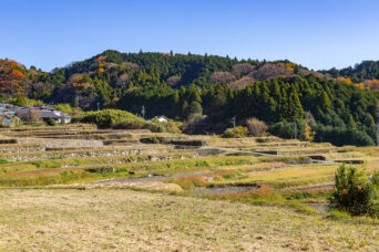 北勢・亀山・坂本集落・坂本棚田（三重県：2025年12月）