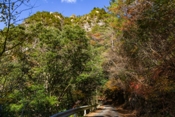 北勢・亀山・石水渓付近から望む鬼ヶ牙（三重県：2025年12月）