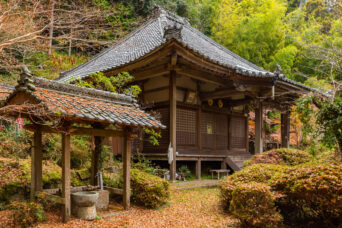 JR草津線・貴生川～三雲間・園養寺（滋賀県：2025年12月）