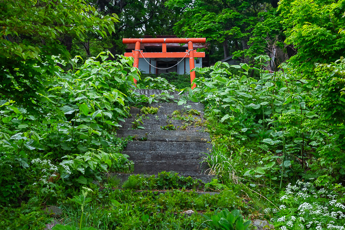 岩尾にある岩老稲荷神社は新緑に埋もれていた