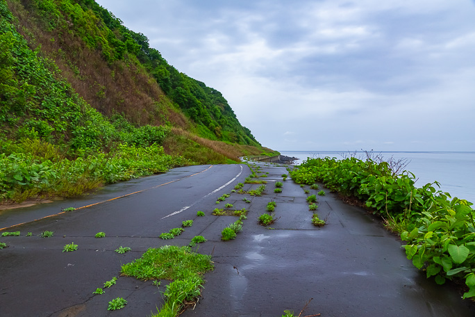 日方泊付近から南では海食崖の下を進んでいた旧国道が姿を現す