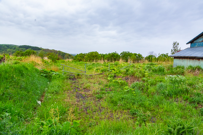 叢へと帰した信砂駅跡