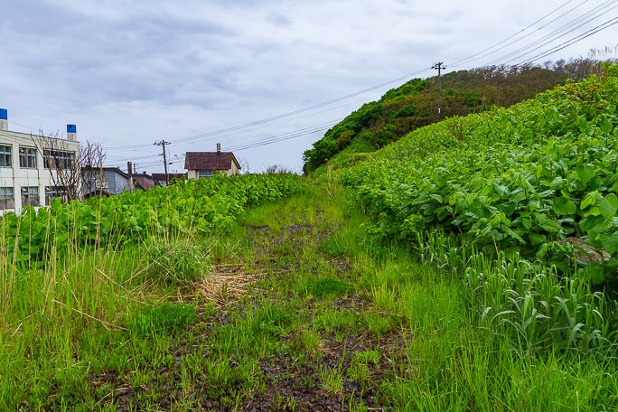 相前後して廃校となった阿分小学校前にあった阿分駅跡