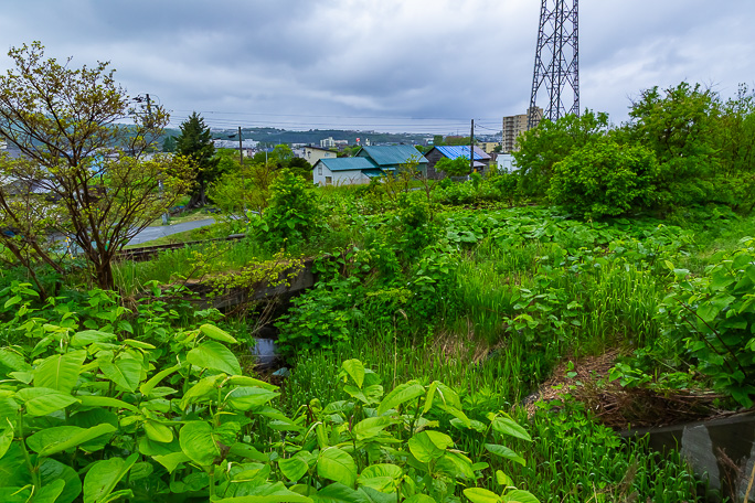 かつて存在した東留萌信号場跡付近を行く