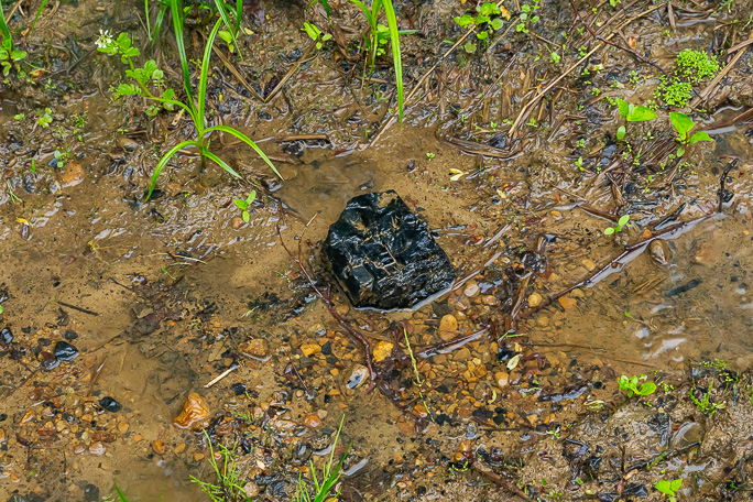 炭鉱跡付近で見つけた石炭の残骸はここで引き返すべきことを告げていた