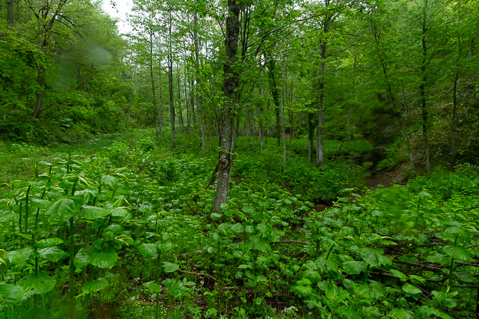 到達地点から奥に続く道道の先の山中には、今も鉱山施設が眠っていることだろう