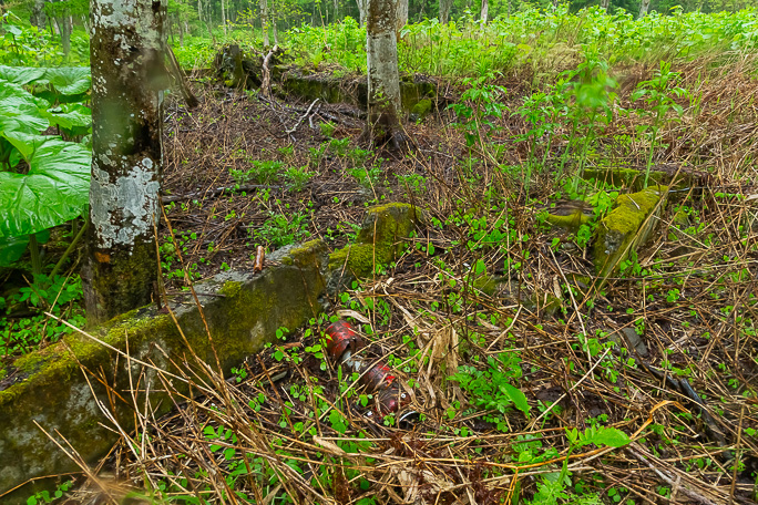遊具らしいタイヤの列と、苔むした基礎、消火器の残骸から、ここが豊平小学校の跡だと推定できた