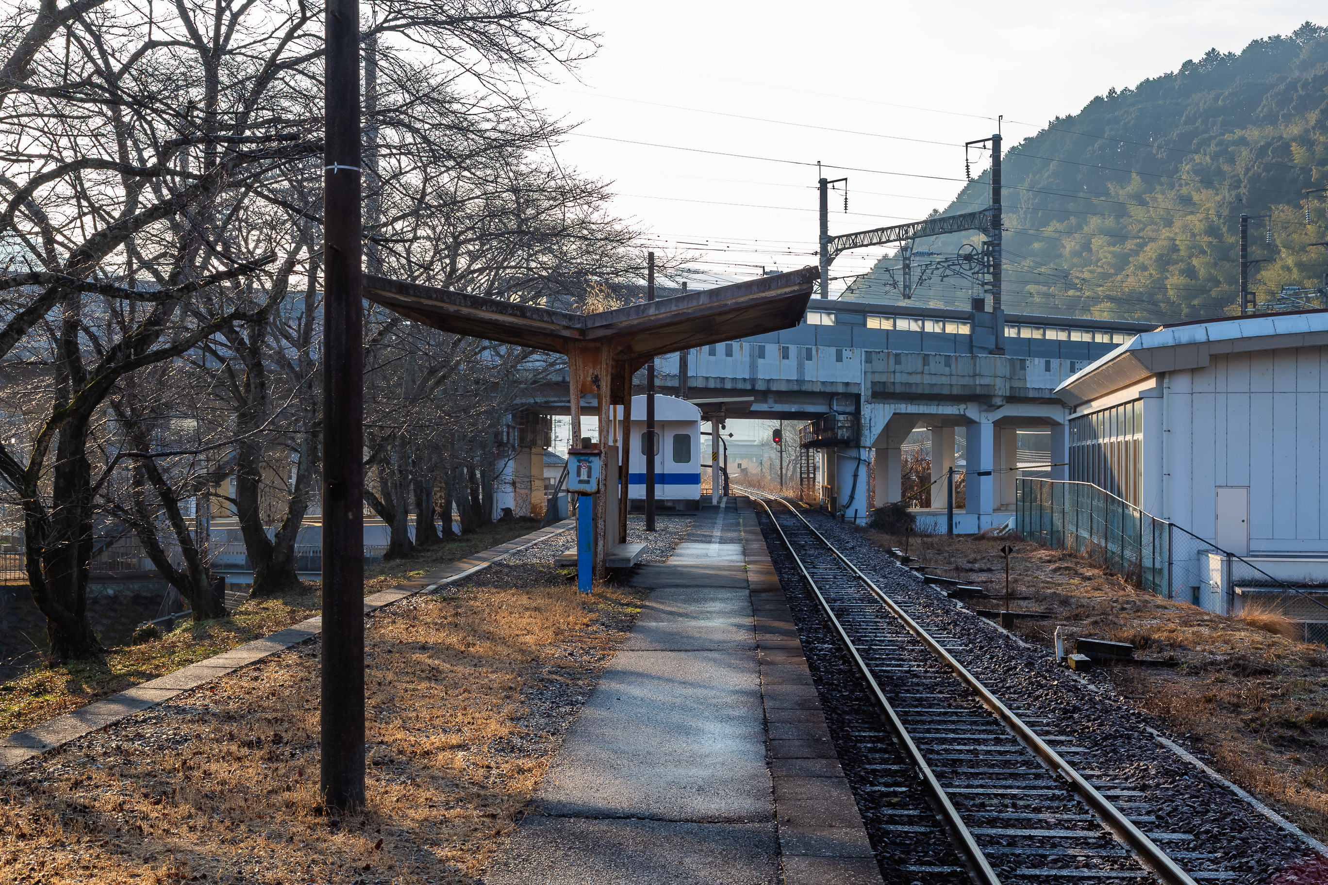 錦川鉄道錦川清流線・清流新岩国駅(山口県:2026年1月)