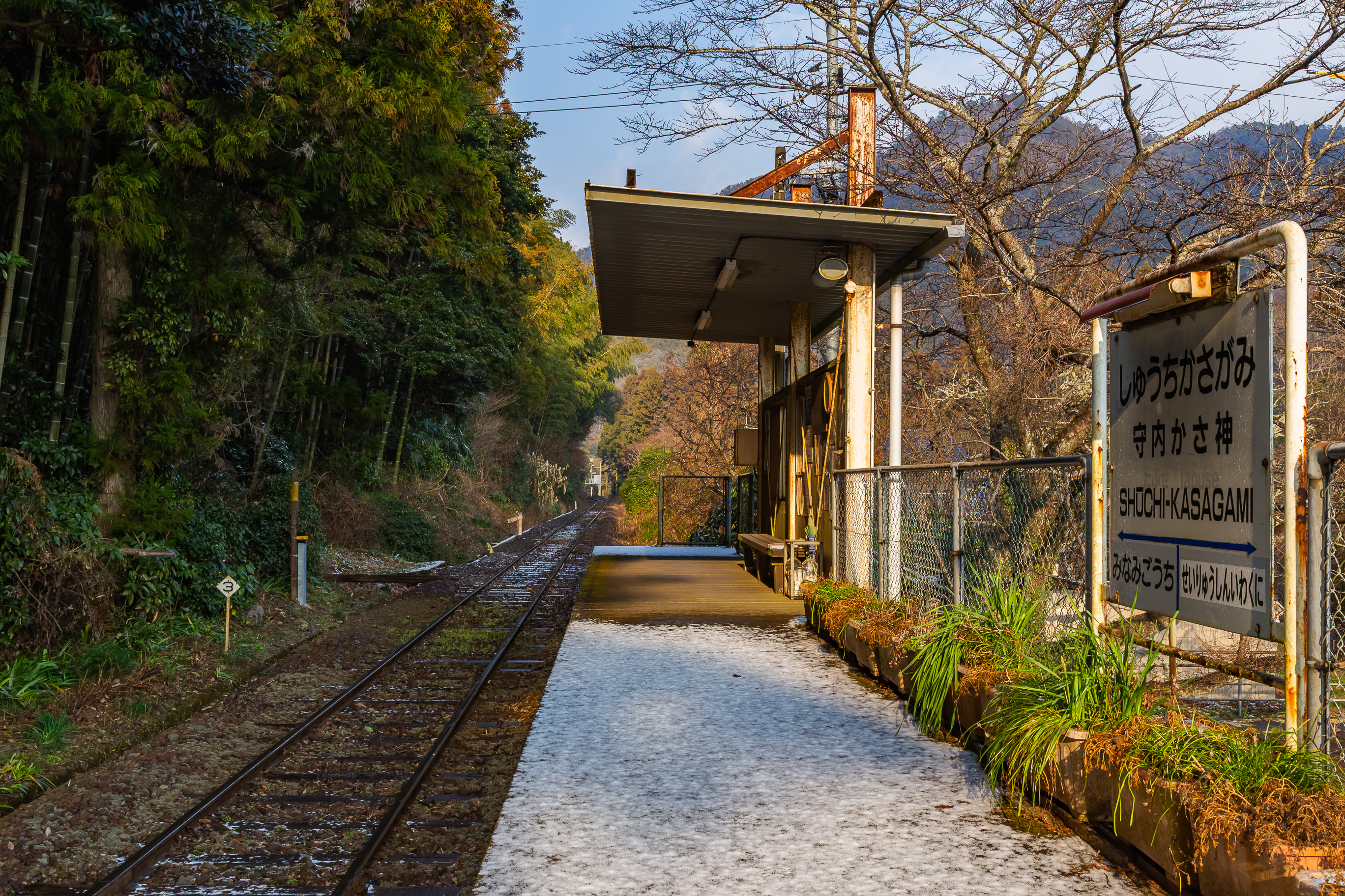 錦川鉄道錦川清流線・守内かさ神駅(山口県:2026年1月)