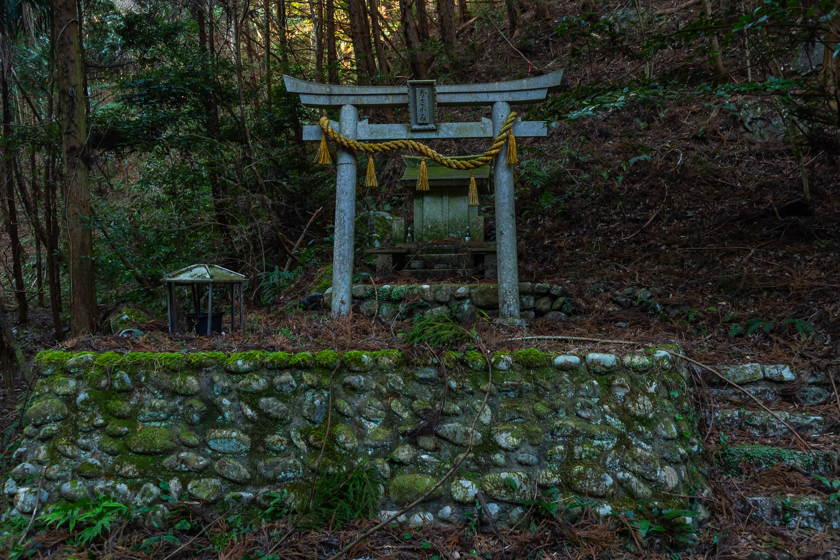 錦川鉄道錦川清流線・守内かさ神駅付近・かさ神神社(山口県:2026年1月)