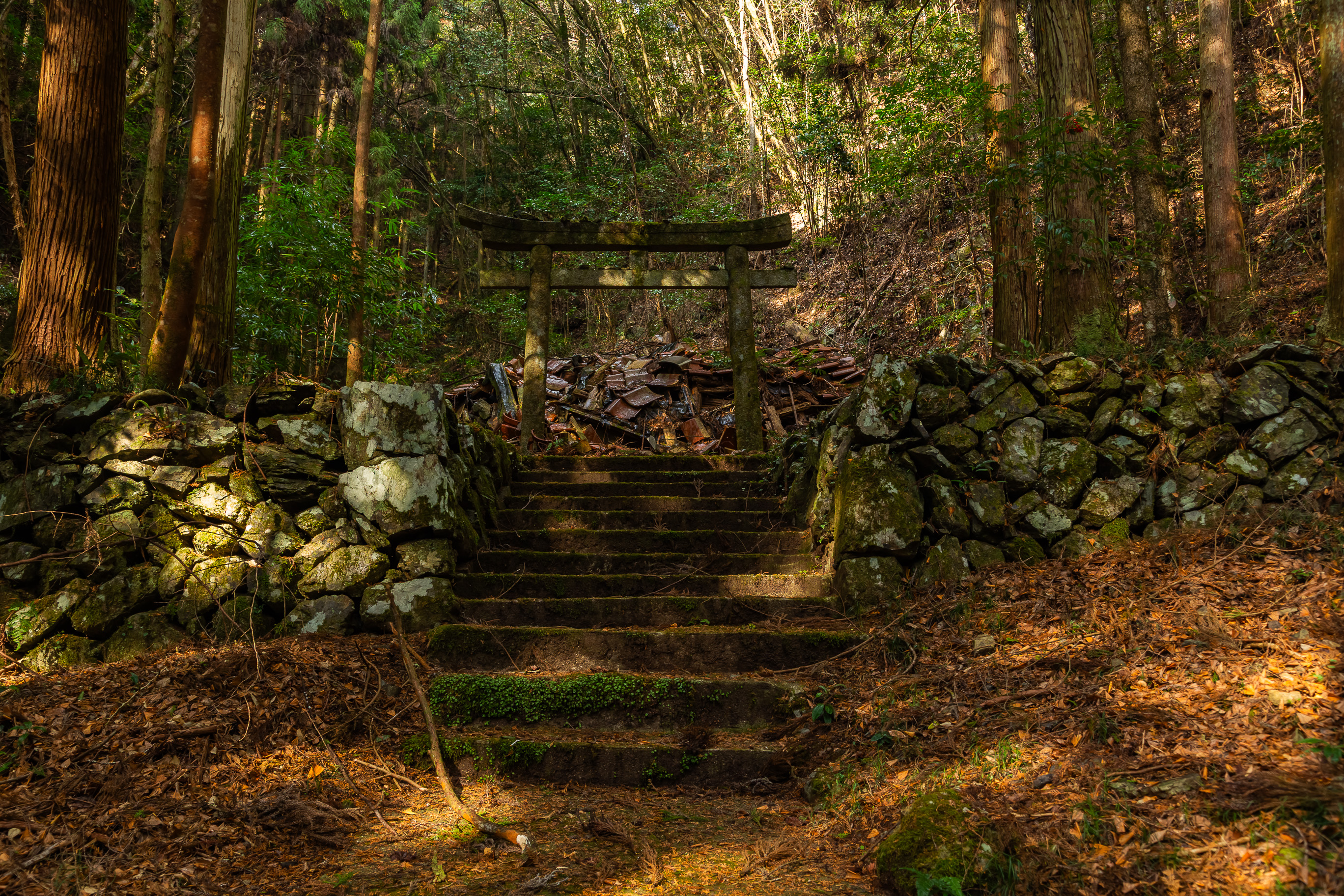 岩国・荒瀬谷集落・河内神社跡(山口県:2026年1月)
