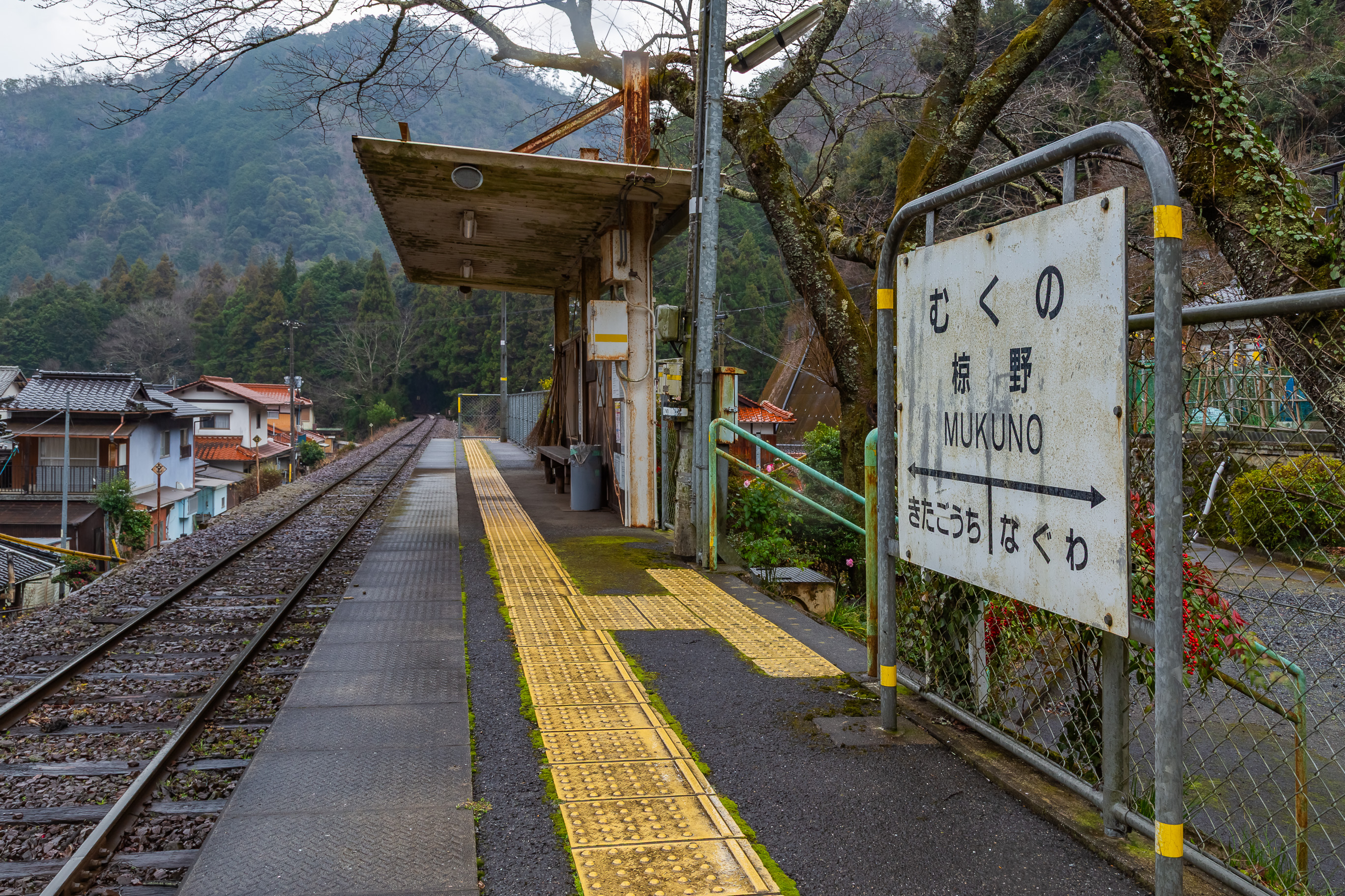 錦川鉄道錦川清流線・椋野駅(山口県:2026年1月)