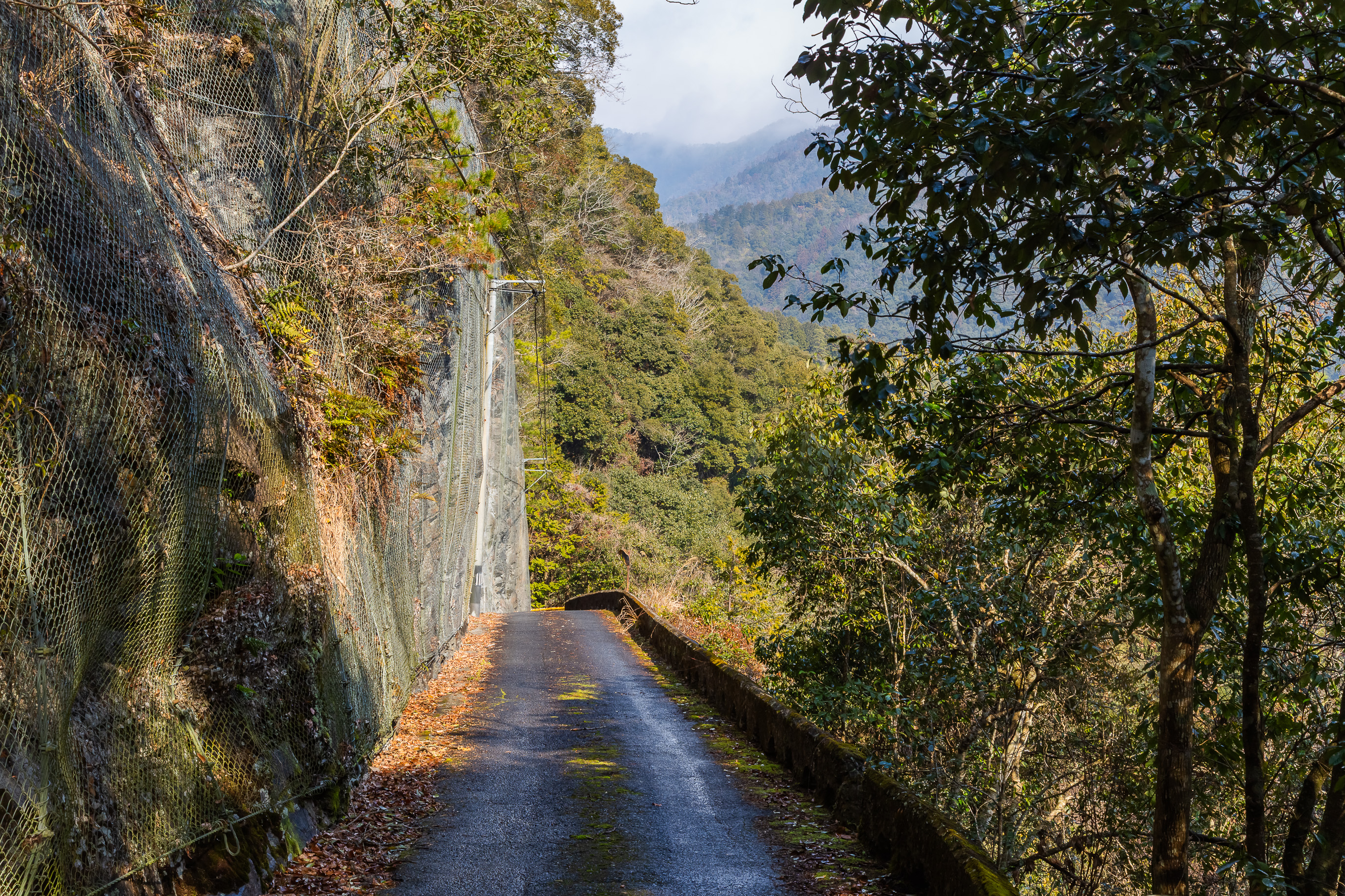 岩国・滝山集落付近(山口県:2026年1月)