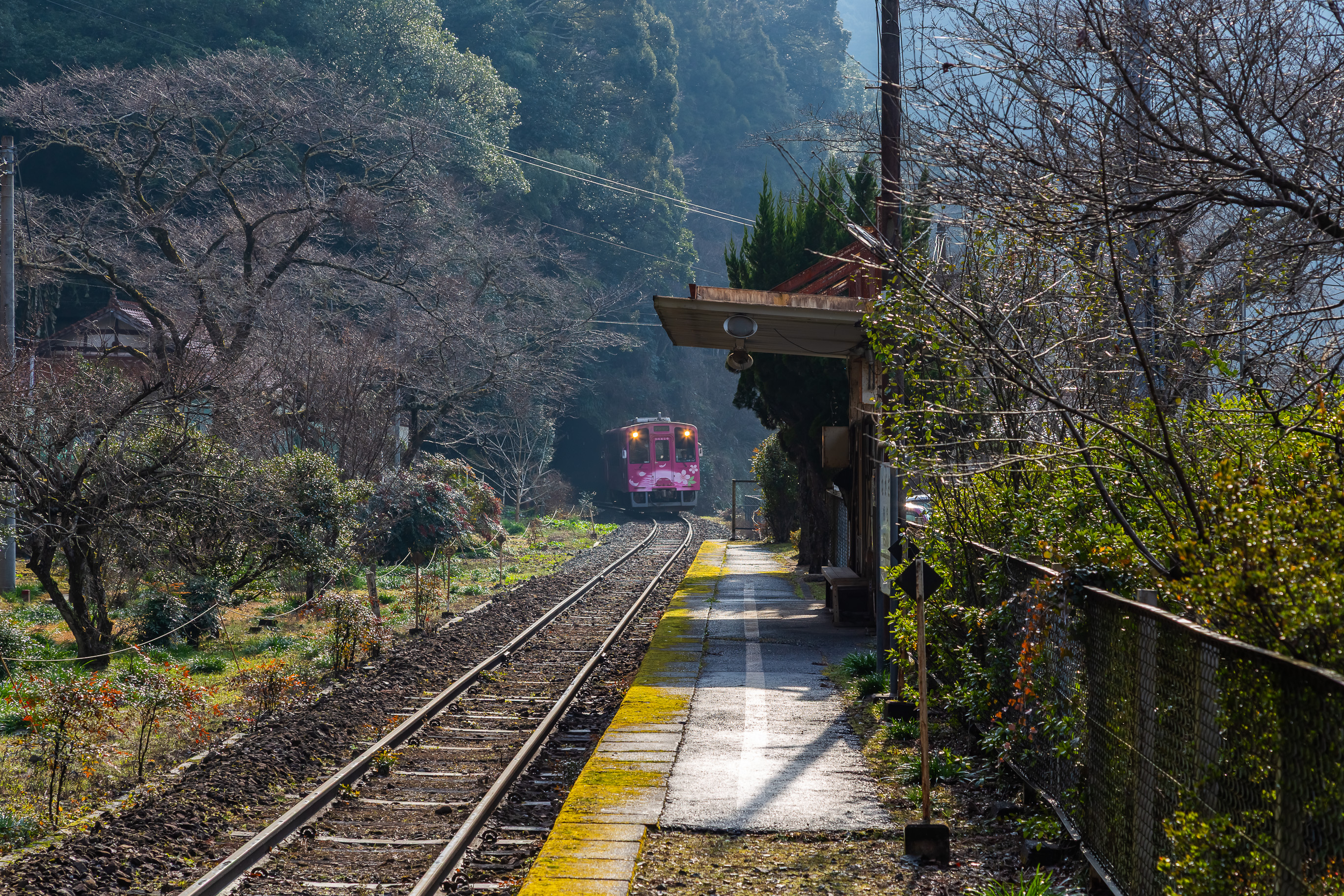 錦川鉄道錦川清流線・根笠駅(山口県:2026年1月)