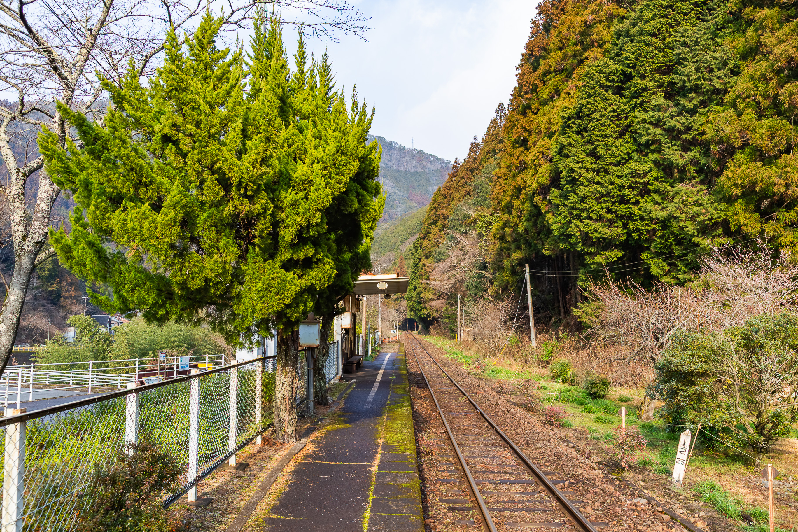 錦川鉄道錦川清流線・根笠駅(山口県:2026年1月)