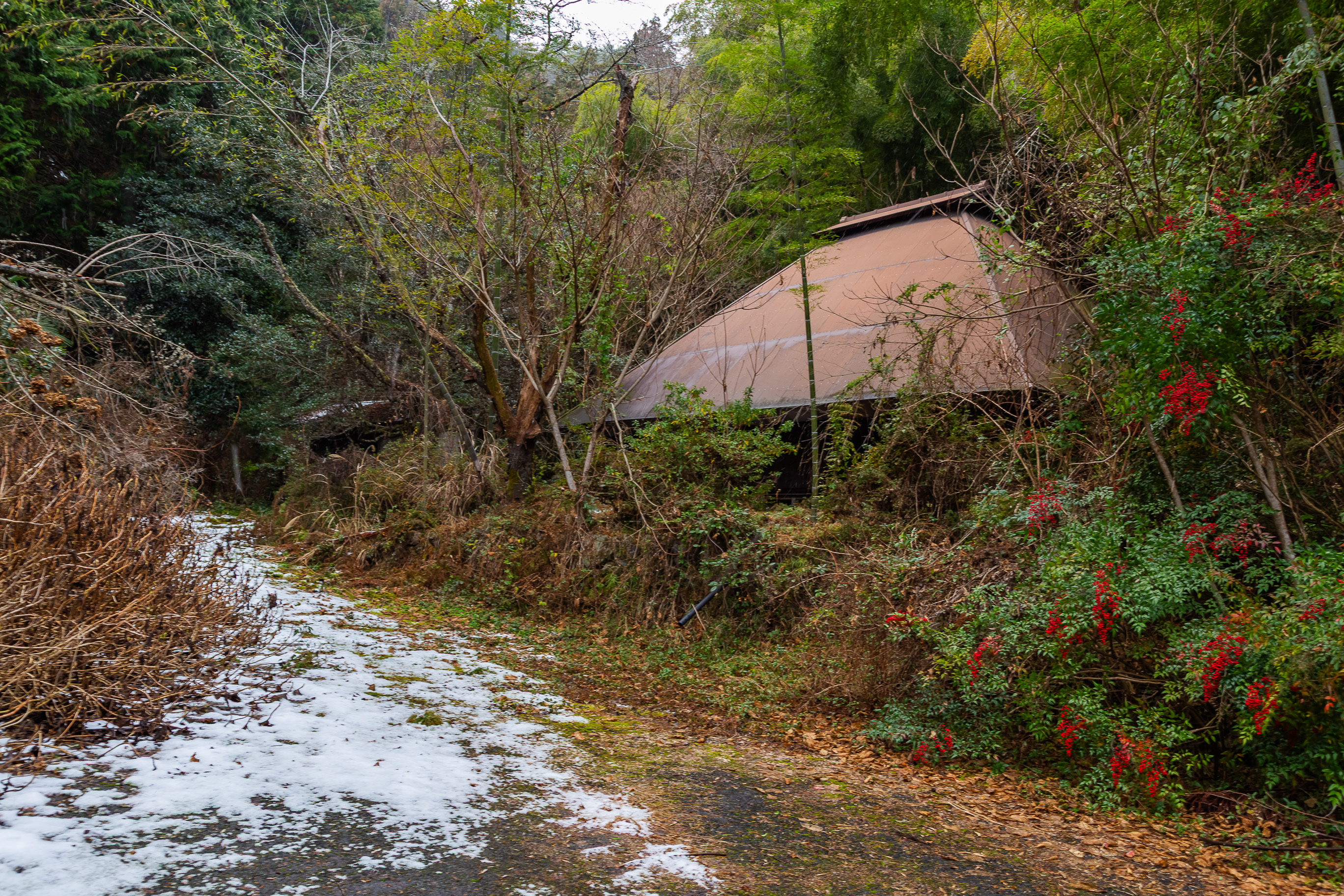 岩国・常灯畑集落跡(山口県:2026年1月)