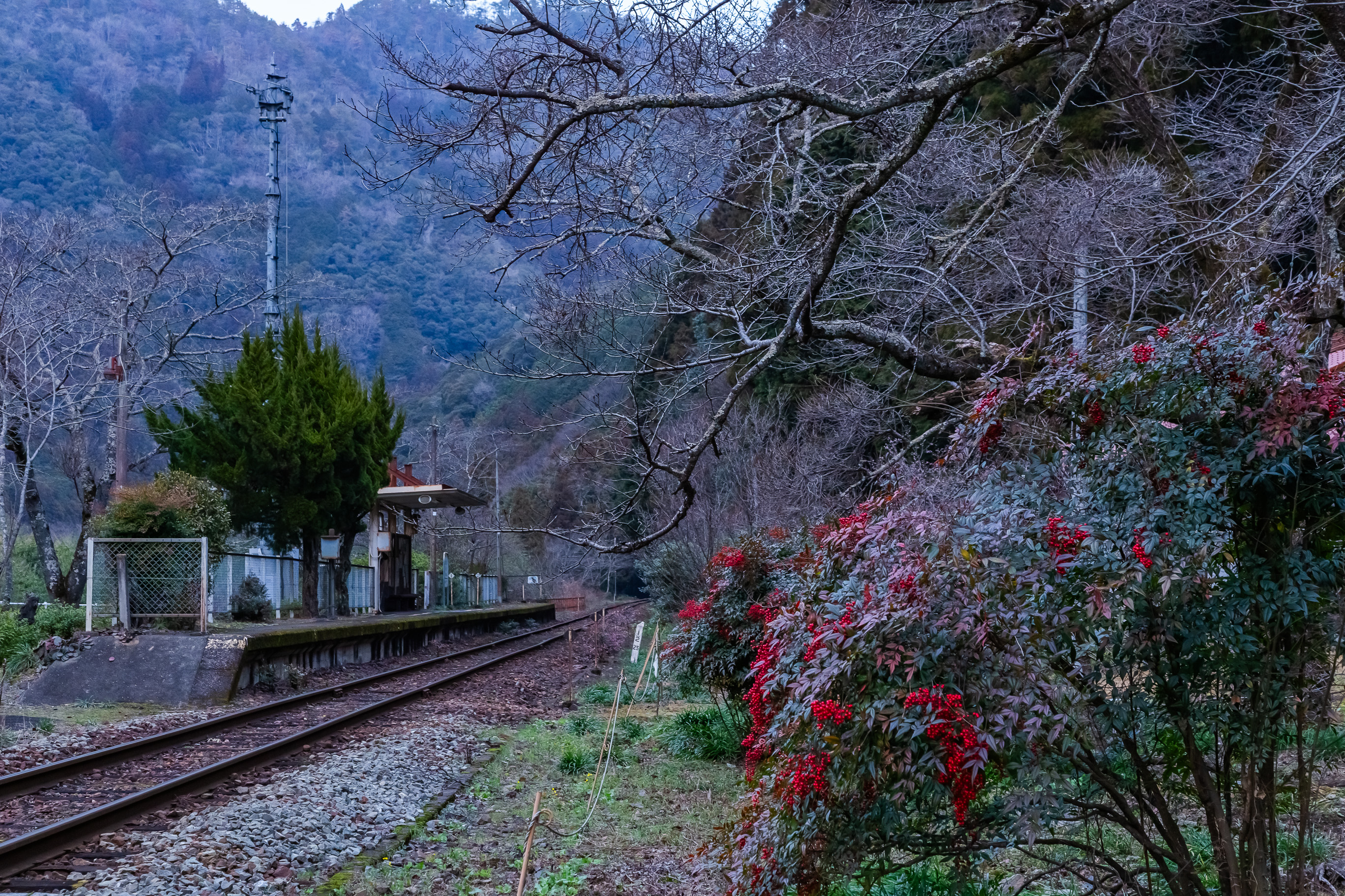 錦川鉄道錦川清流線・根笠駅(山口県:2026年1月)