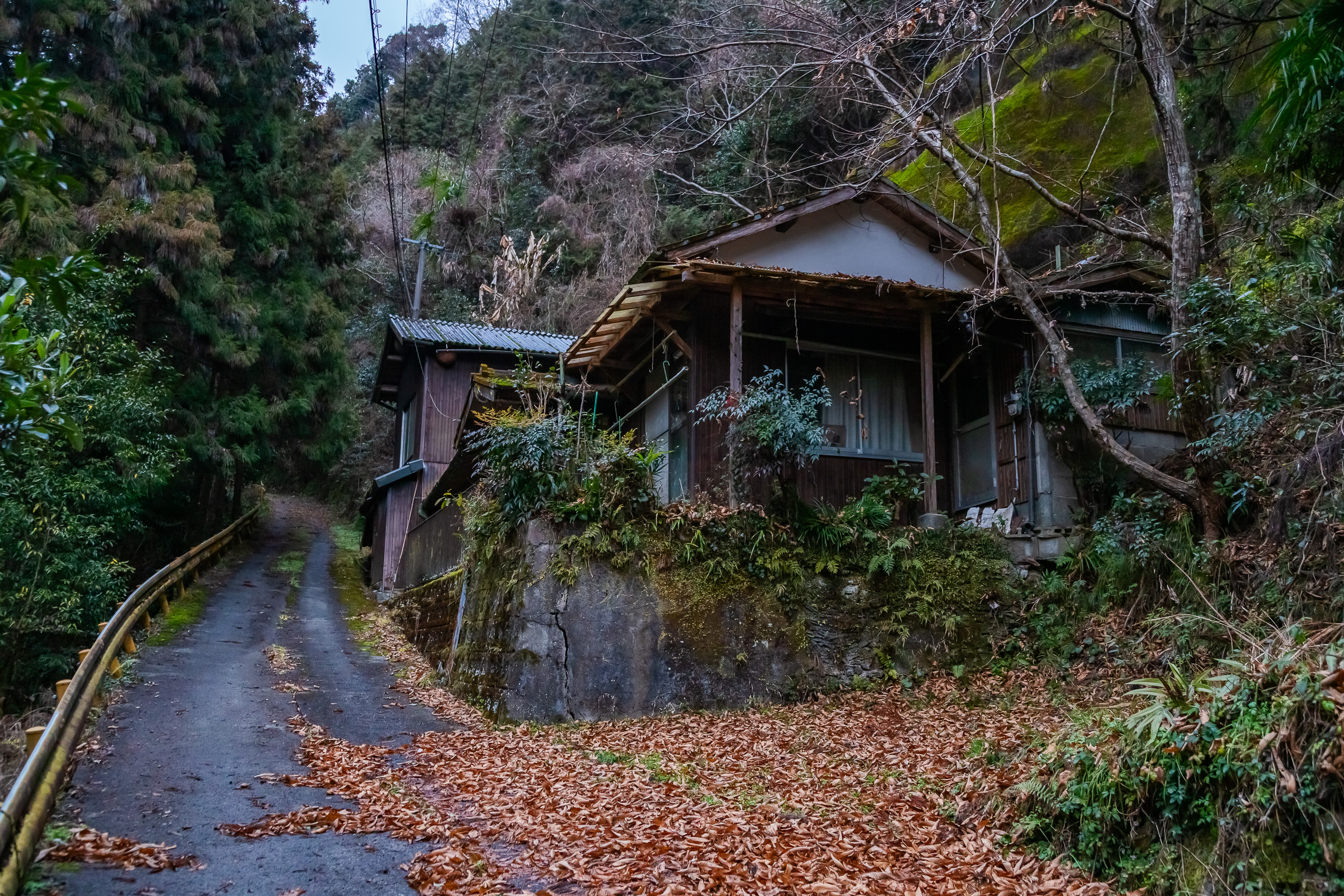 岩国・足谷集落跡(山口県:2026年1月)