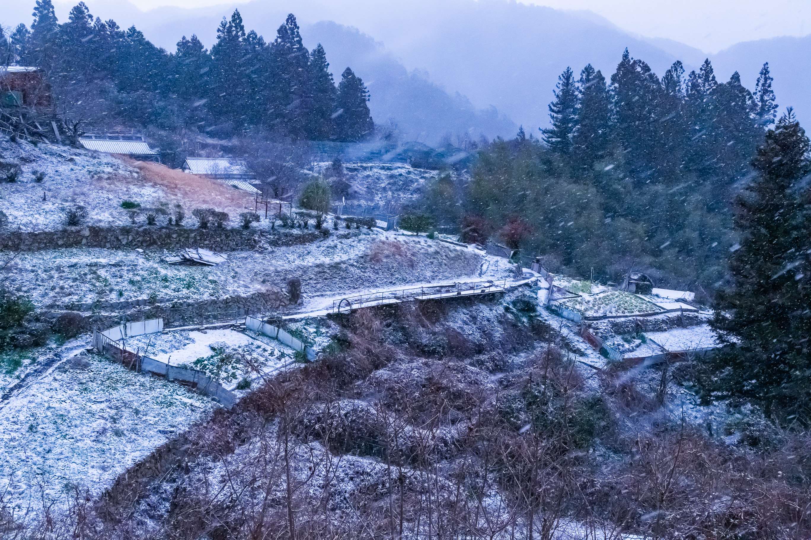 岩国・佐手集落(山口県:2026年1月)