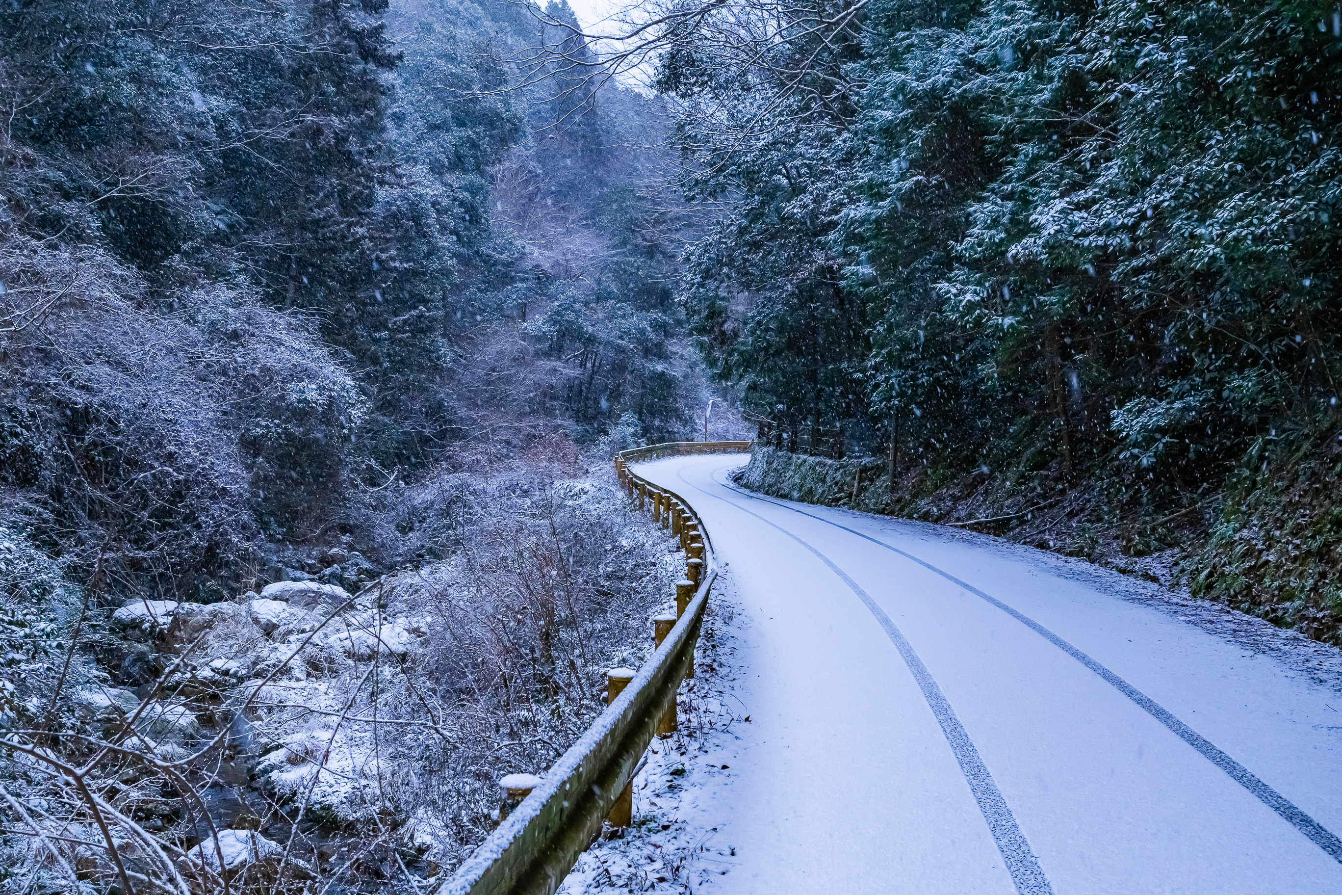 岩国・赤羽根集落付近(山口県:2026年1月)