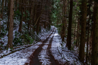 岩国・下沼田集落付近（山口県：2026年1月）