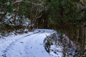 岩国・神明原集落跡付近（山口県：2026年1月）
