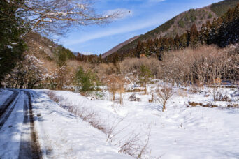 吉賀・鹿内河内集落跡（山口県：2026年1月）