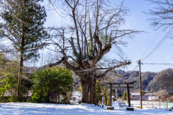 吉賀・立戸集落・立戸八幡宮（山口県：2026年1月）