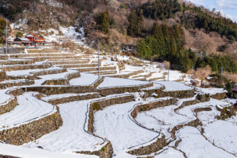 吉賀・大井谷集落・大井谷棚田（山口県：2026年1月）