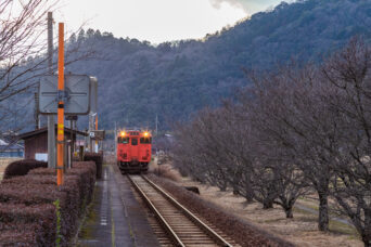 JR山口線・渡川駅（山口県：2026年1月）