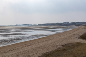 宇部・岐波海岸（山口県：2026年1月）