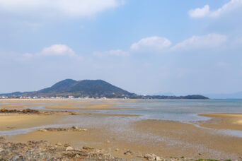 宇部・岐波海岸（山口県：2026年1月）