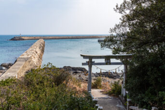 宇部・丸尾・三神社から望む丸尾漁港（山口県：2026年1月）