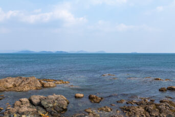 宇部・丸尾海岸（山口県：2026年1月）