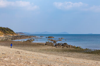 宇部・村松海岸（山口県：2026年1月）