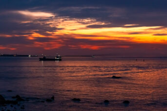 山陽小野田・本山岬（山口県：2026年1月）